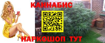 соль ск Гатчина