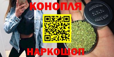 мдпв Гай