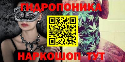 мдпв Гай