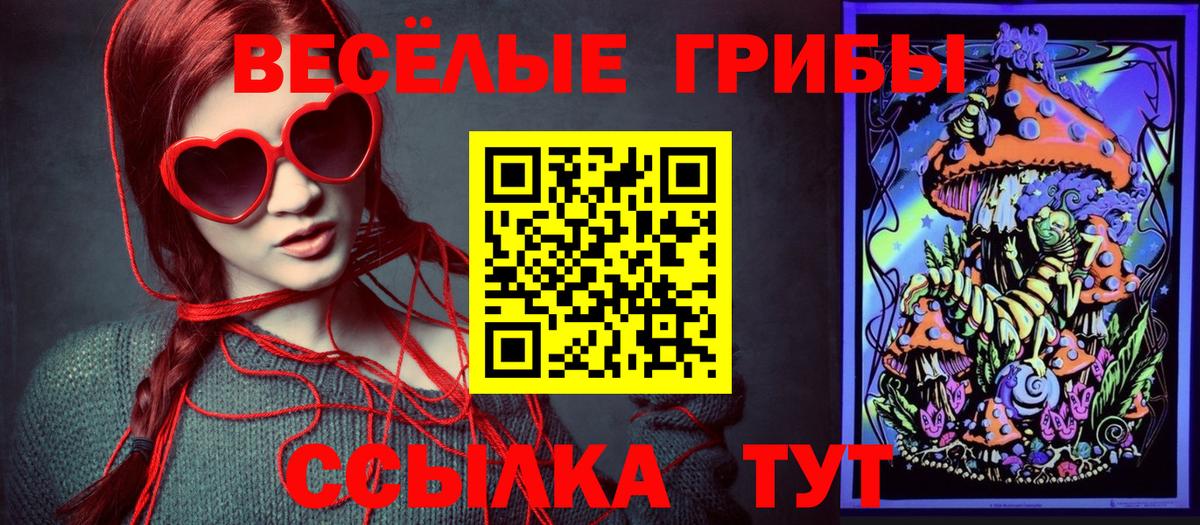 Галлюциногенные грибы MAGIC MUSHROOMS  Вход с VPN  купить закладку  Новороссийск 