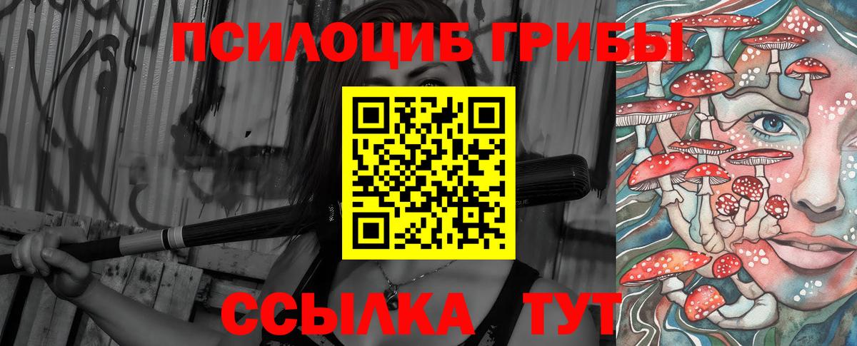 Псилоцибиновые грибы Psilocybine cubensis Новороссийск